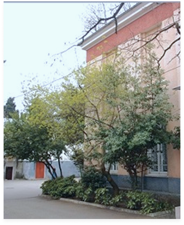 Факультет искусств: