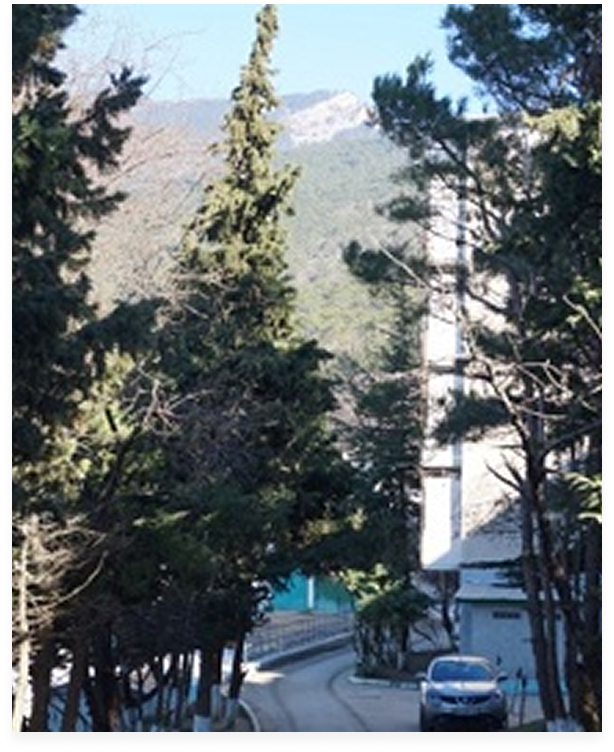 Институт педагогики, психологии и инклюзивного образования: