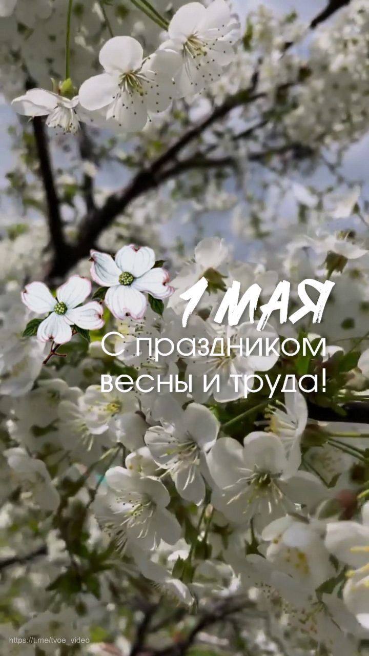 1 мая — Праздник Весны и Труда